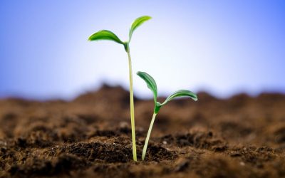 Durch Kleines und Einfaches wird Großes zustande gebracht