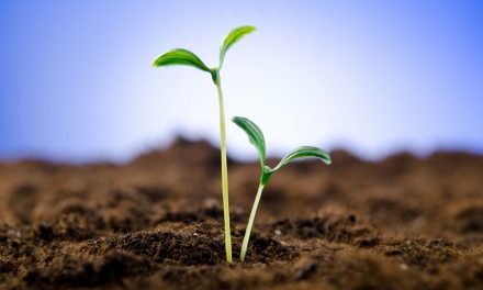 Durch Kleines und Einfaches wird Großes zustande gebracht
