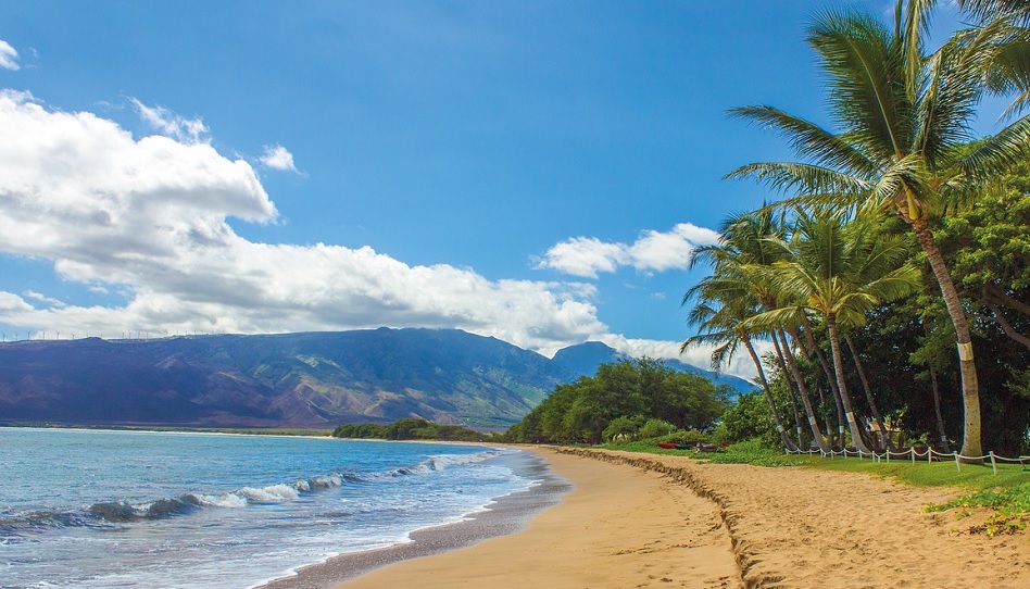 Väter aus Hawaii