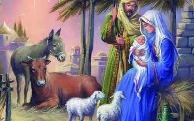 3 tierische Erkenntnisse zum Weihnachtsfest