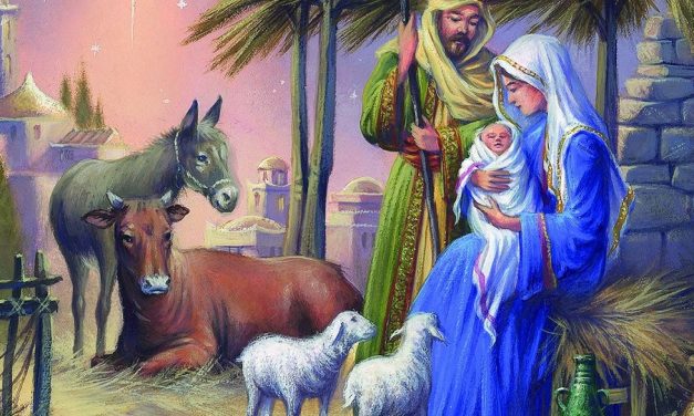3 tierische Erkenntnisse zum Weihnachtsfest