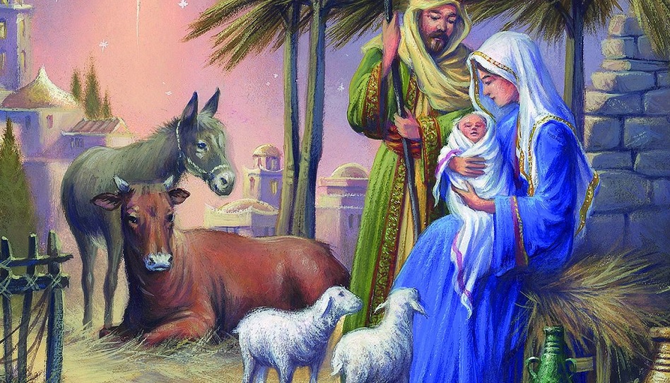 3 tierische Erkenntnisse zum Weihnachtsfest